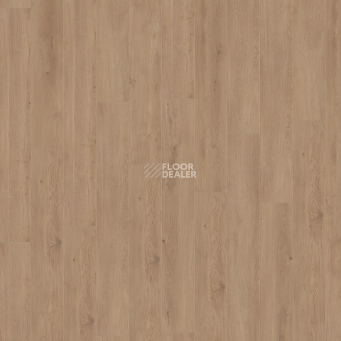 Kronotex Exquisit 8мм d89682 Дуб Мистраль бежевый фото 6 | FLOORDEALER